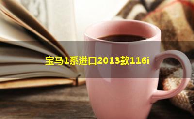 宝马1系进口2013款116i 宝马1系进口2013款116i
