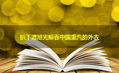 扒下谭旭光鲸吞中国重汽的外衣