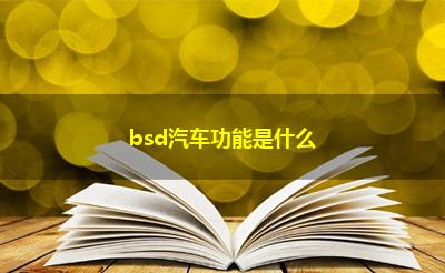 bsd汽车功能是什么