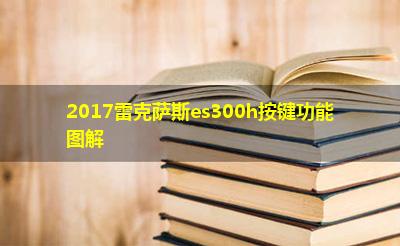 2017雷克萨斯es300h按键功能图解